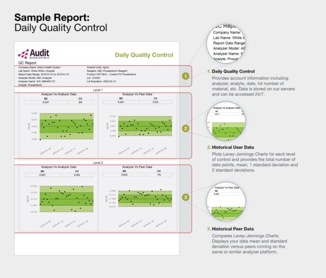 new_logo_auditor_qc_example_report_for_website_rev002-large